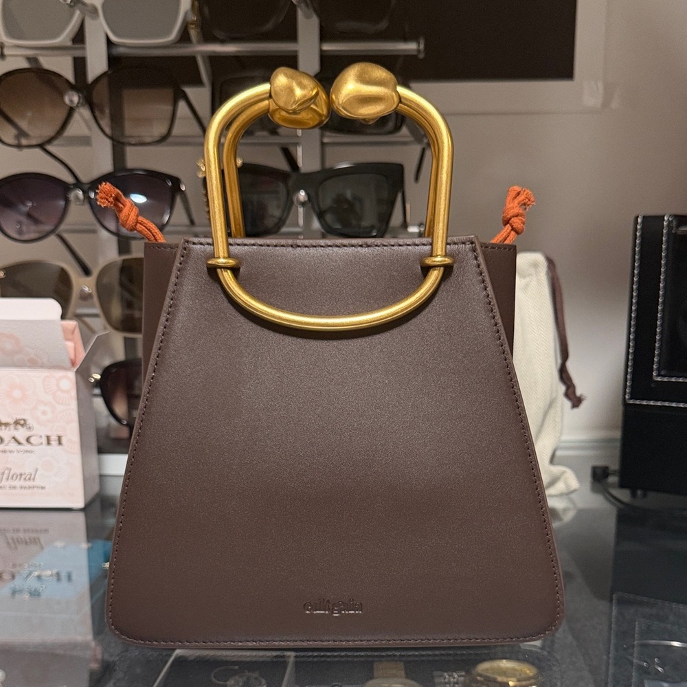 Cult Gaia Chocolate Brown Mini Bag with Gold Accents